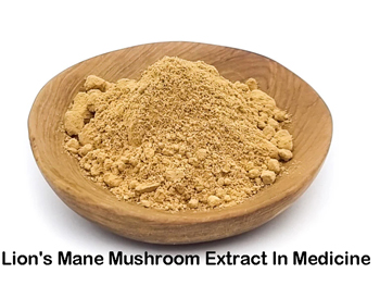 What Are The Traditional Uses Of Lion's Mane Mushroom Powder In Medicine?